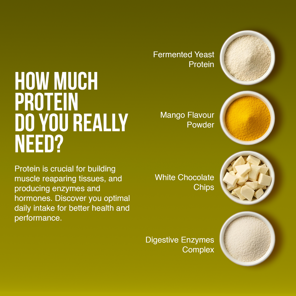 Combo Of Dessert Protein & Creatine Monohydrate