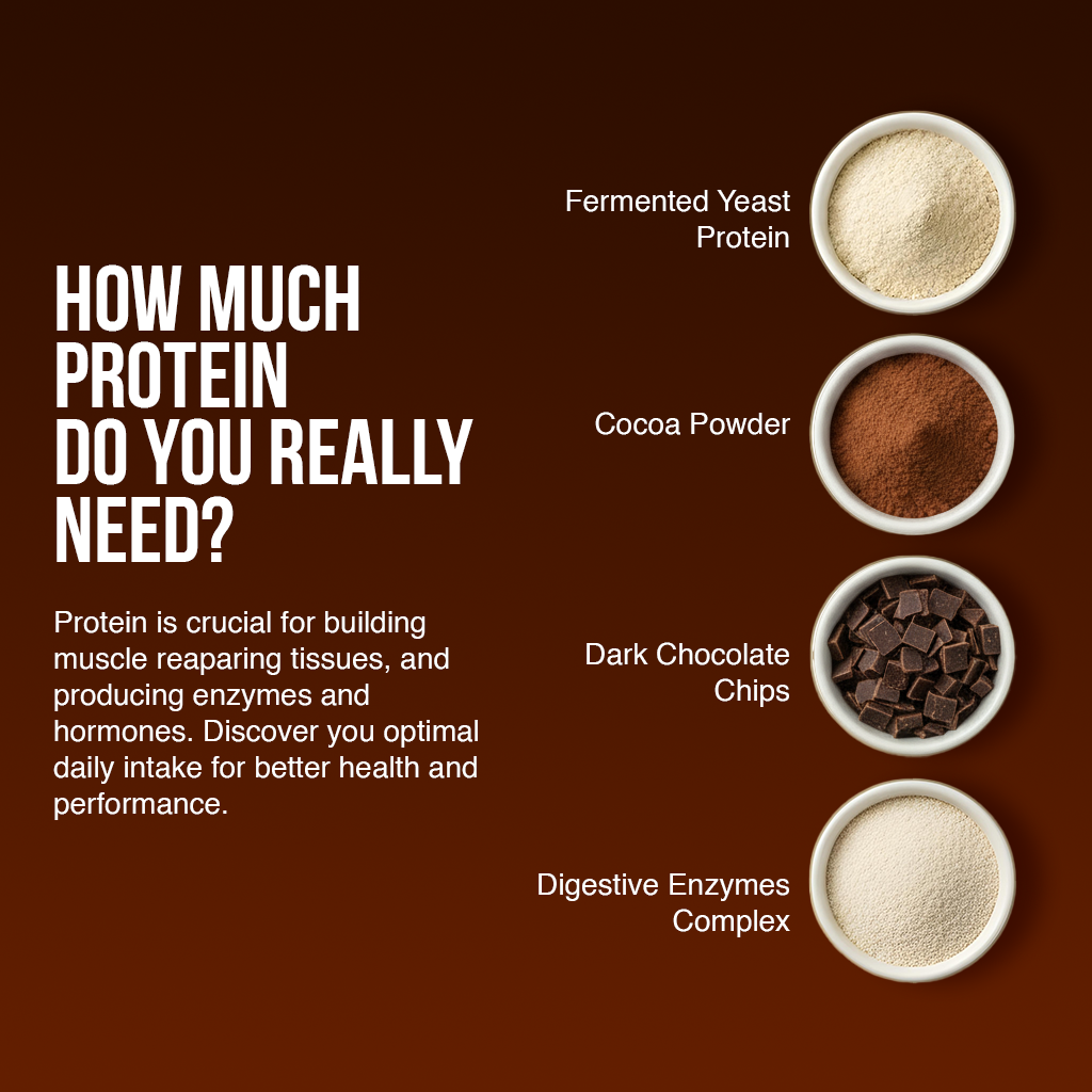 Combo Of Dessert Protein & Creatine Monohydrate