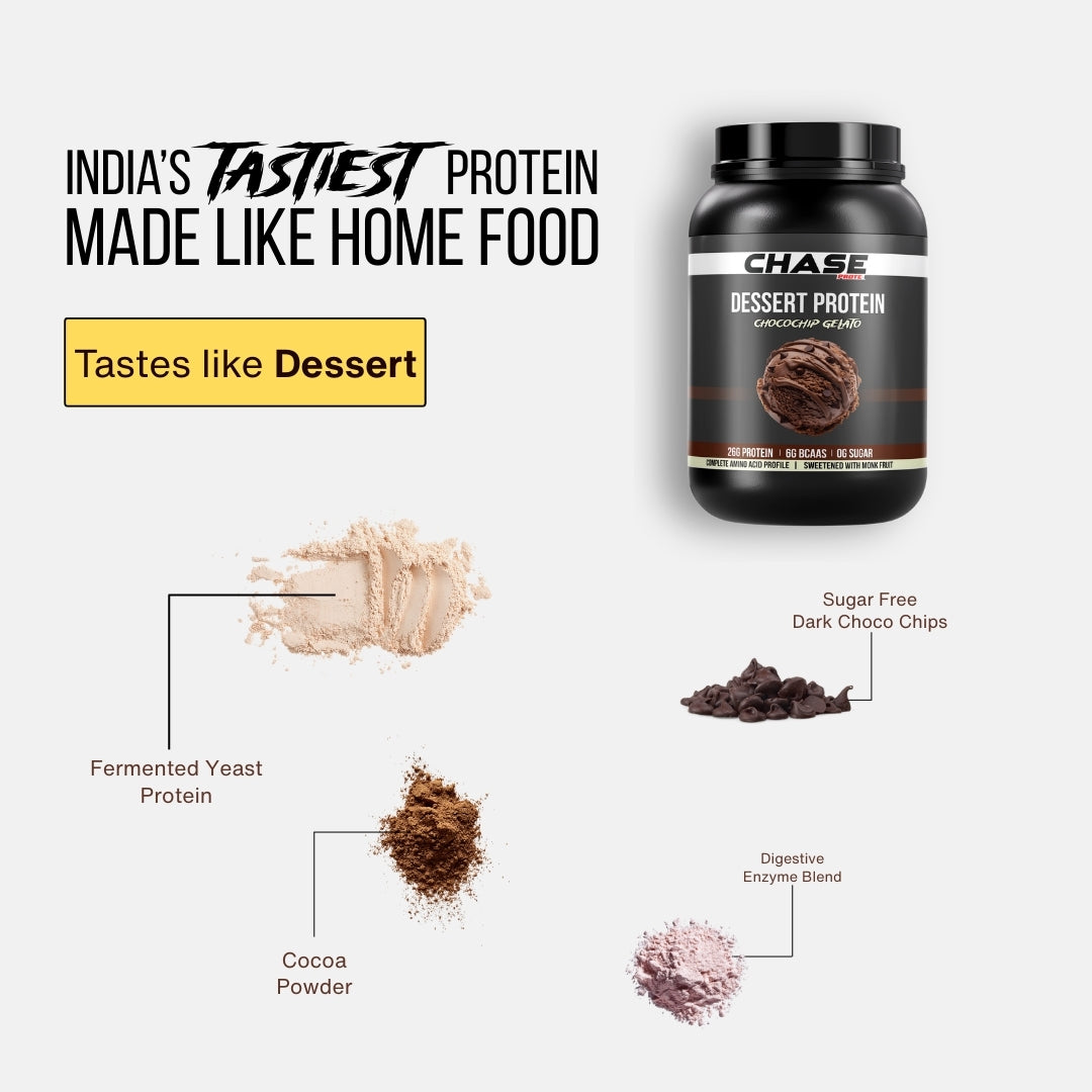 Chocochip Gelato Dessert  Protein