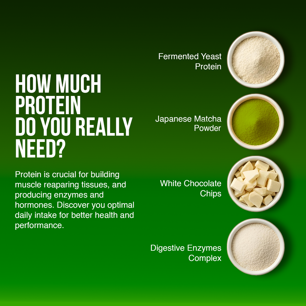 Combo Of Dessert Protein & Creatine Monohydrate