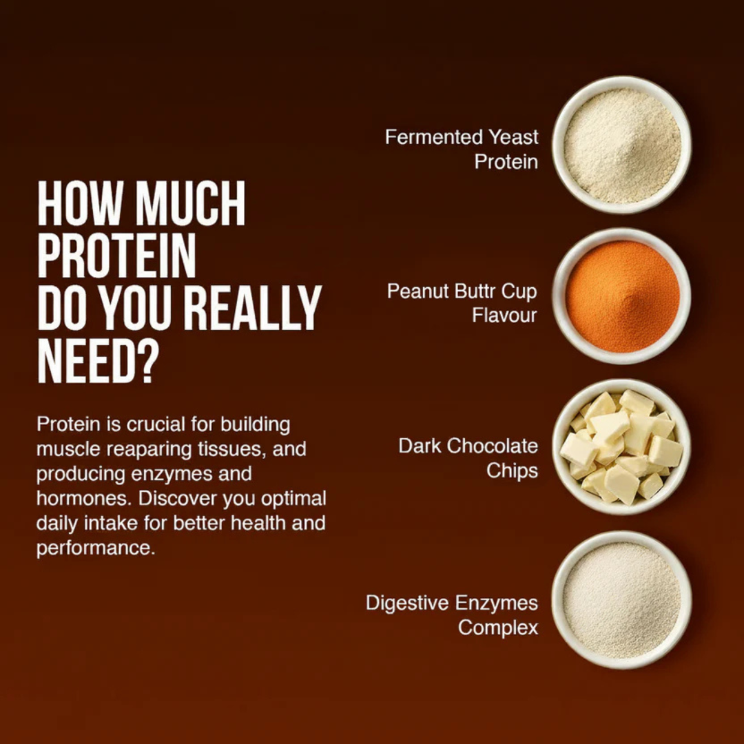 Peanut Butter Cup Dessert Protein- 1 Kg