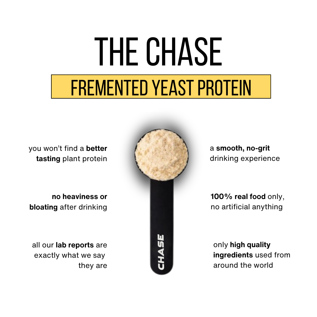 Chocochip Gelato Dessert  Protein