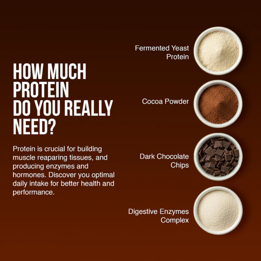 Chocochip Gelato Dessert Protein- 5 Kg