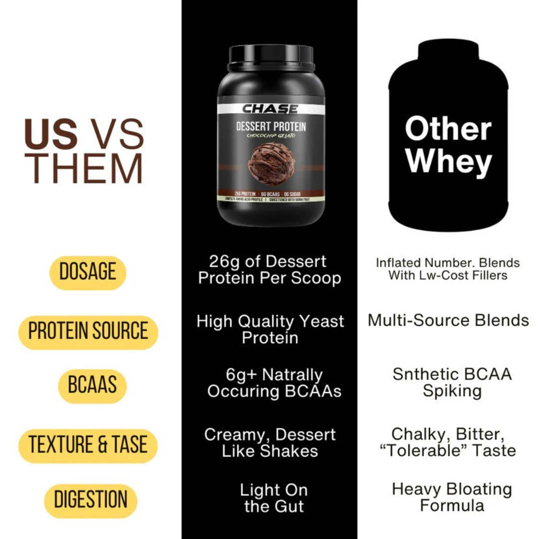 Chocochip Gelato Dessert Protein- 1 Kg
